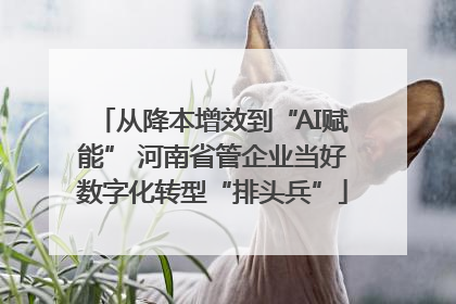 从降本增效到“AI赋能” 河南省管企业当好数字化转型“排头兵”