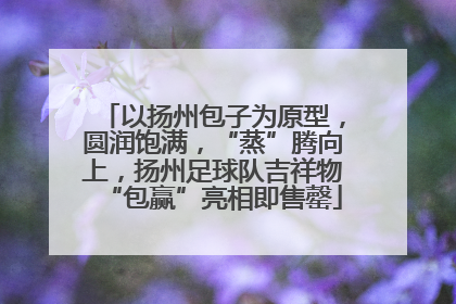 以扬州包子为原型，圆润饱满，“蒸”腾向上，扬州足球队吉祥物“包赢”亮相即售罄