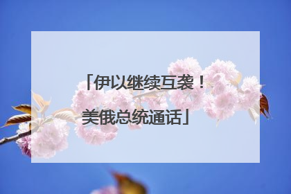 伊以继续互袭！美俄总统通话