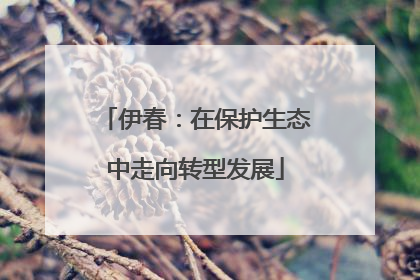 伊春：在保护生态中走向转型发展