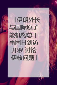 伊朗外长与国际原子能机构总干事同日到访开罗 讨论伊核问题
