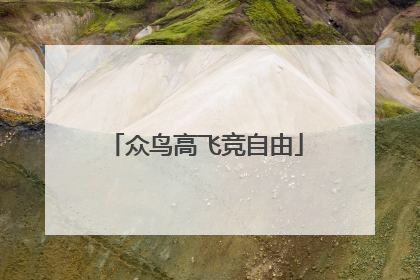 众鸟高飞竞自由
