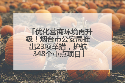 优化营商环境再升级！烟台市公安局推出23项举措，护航348个重点项目