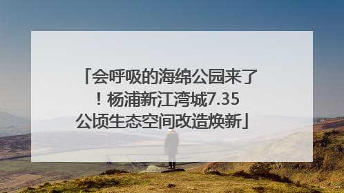 会呼吸的海绵公园来了！杨浦新江湾城7.35公顷生态空间改造焕新