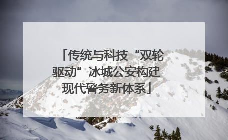 传统与科技“双轮驱动”冰城公安构建现代警务新体系