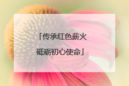 传承红色薪火 砥砺初心使命