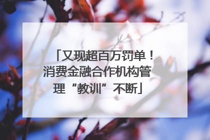 又现超百万罚单！消费金融合作机构管理“教训”不断