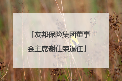 友邦保险集团董事会主席谢仕荣退任