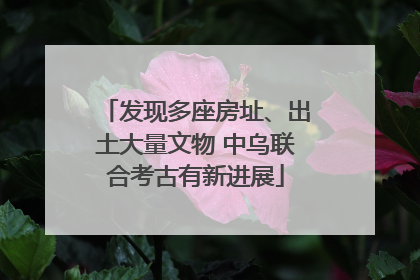 发现多座房址、出土大量文物 中乌联合考古有新进展