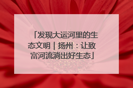 发现大运河里的生态文明｜扬州：让致富河流淌出好生态