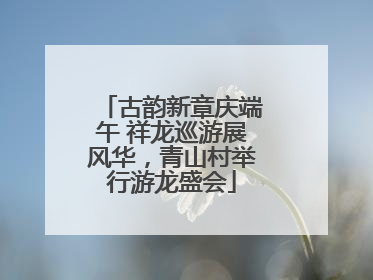 古韵新章庆端午 祥龙巡游展风华，青山村举行游龙盛会
