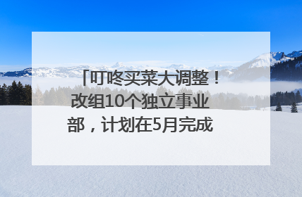 叮咚买菜大调整！改组10个独立事业部，计划在5月完成App端全面改版