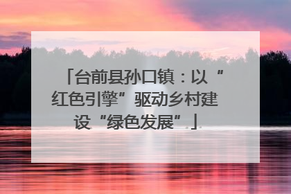 台前县孙口镇：以“红色引擎”驱动乡村建设“绿色发展”