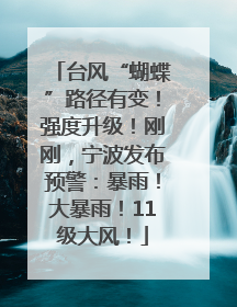 台风“蝴蝶”路径有变！强度升级！刚刚，宁波发布预警：暴雨！大暴雨！11级大风！