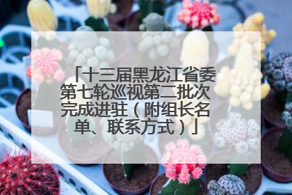 十三届黑龙江省委第七轮巡视第二批次完成进驻（附组长名单、联系方式）