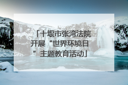 十堰市张湾法院开展“世界环境日”主题教育活动