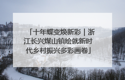 十年蝶变焕新彩｜浙江长兴煤山镇绘就新时代乡村振兴多彩画卷