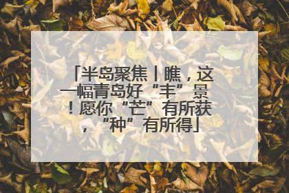 半岛聚焦丨瞧，这一幅青岛好“丰”景！愿你“芒”有所获，“种”有所得