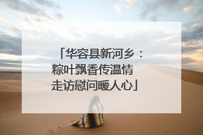 华容县新河乡：粽叶飘香传温情 走访慰问暖人心