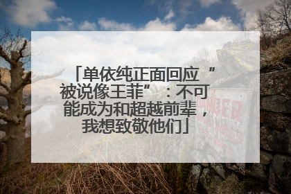 单依纯正面回应“被说像王菲”：不可能成为和超越前辈，我想致敬他们