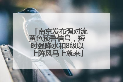 南京发布强对流黄色预警信号，短时强降水和8级以上阵风马上就来