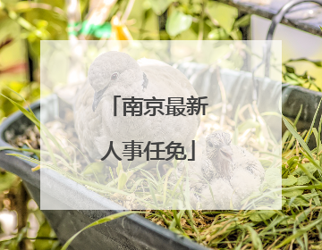 南京最新人事任免