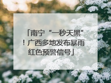 南宁“一秒天黑”！广西多地发布暴雨红色预警信号