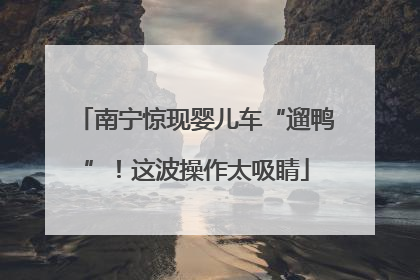 南宁惊现婴儿车“遛鸭”！这波操作太吸睛