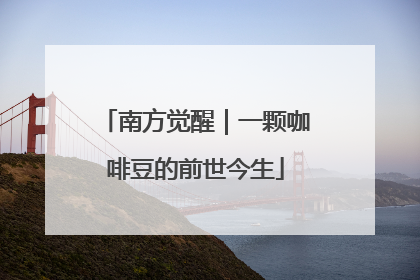 南方觉醒｜一颗咖啡豆的前世今生