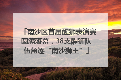 南沙区首届醒狮表演赛圆满落幕，38支醒狮队伍角逐“南沙狮王”