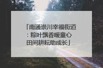 南通崇川幸福街道：粽叶飘香暖童心 田间耕耘助成长