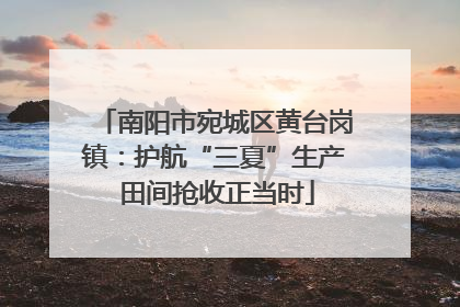 南阳市宛城区黄台岗镇：护航“三夏”生产 田间抢收正当时