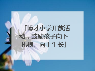 博才小学开放活动，鼓励孩子向下扎根、向上生长