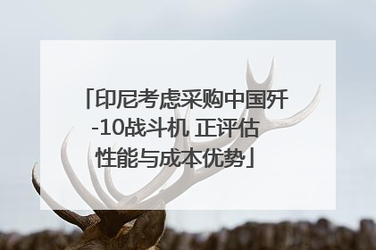 印尼考虑采购中国歼-10战斗机 正评估性能与成本优势