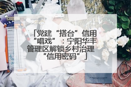 党建“搭台”信用“唱戏”：宁阳华丰管理区解锁乡村治理“信用密码”