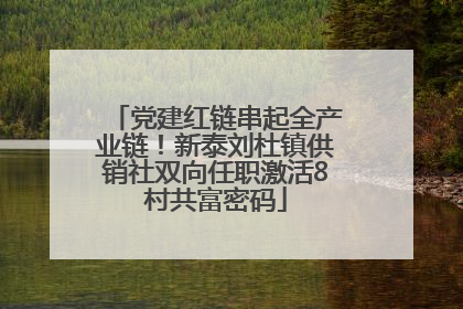 党建红链串起全产业链！新泰刘杜镇供销社双向任职激活8村共富密码