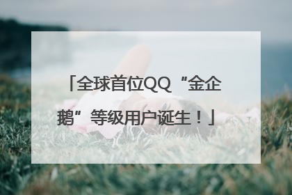 全球首位QQ“金企鹅”等级用户诞生！