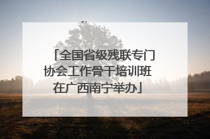 全国省级残联专门协会工作骨干培训班在广西南宁举办