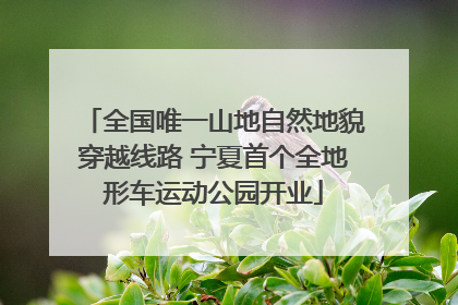 全国唯一山地自然地貌穿越线路 宁夏首个全地形车运动公园开业