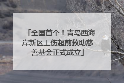 全国首个！青岛西海岸新区工伤超前救助慈善基金正式成立