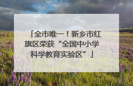 全市唯一！新乡市红旗区荣获“全国中小学科学教育实验区”