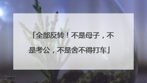 全部反转！不是母子，不是考公，不是舍不得打车