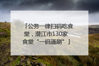 公务一律扫码吃食堂，潜江市130家食堂“一码通刷”