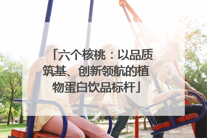 六个核桃：以品质筑基、创新领航的植物蛋白饮品标杆