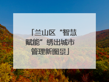 兰山区“智慧赋能”绣出城市管理新图景