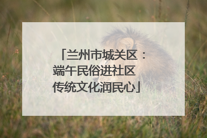 兰州市城关区：端午民俗进社区 传统文化润民心