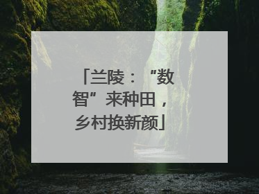 兰陵：“数智”来种田，乡村换新颜