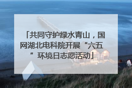 共同守护绿水青山，国网湖北电科院开展“六五”环境日志愿活动