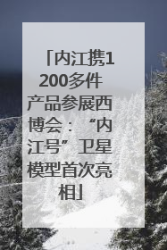 内江携1200多件产品参展西博会：“内江号”卫星模型首次亮相