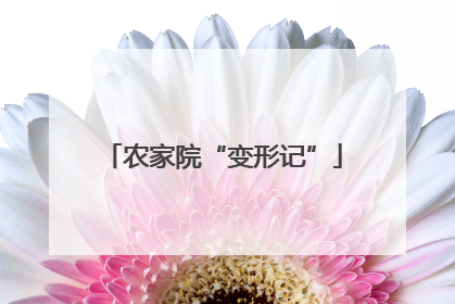 农家院“变形记”